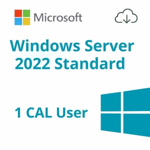Windows Server Standard 2022 1 User CAL